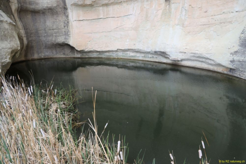 2019-05-30-R66-Ramah-El-Moro-NP-Monument-Fels-IM_R3031-1