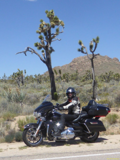 2019-06-04-R66-Amboy-Wüstentankstelle-Roys-Cafe-P1000605-2