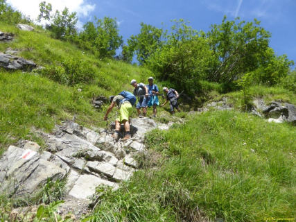 30-2020-07-20-SAC-RS-SenGelbchopf-38-1