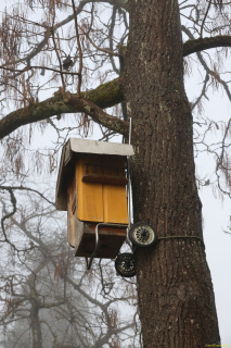 2021-12-27-Weinfelden-Stelzenhof-zurueck-IM_R3527