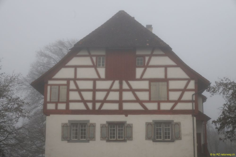 2021-12-27-Weinfelden-Stelzenhof-zurueck-IM_R3533