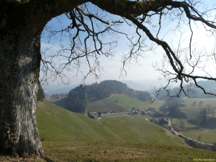 2022-03-08-SAC-RS-Schlosshoechi-24