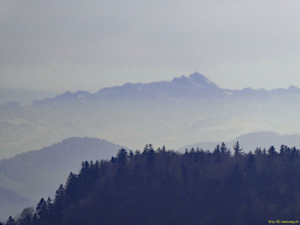 2022-03-08-SAC-RS-Schlosshoechi-33_bearbeitet-1