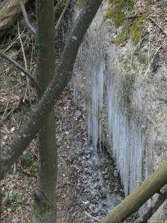 2022-03-08-SAC-RS-Schlosshoechi-46