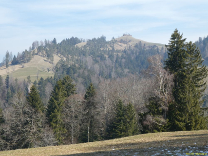 2022-03-08-SAC-RS-Schlosshoechi-51