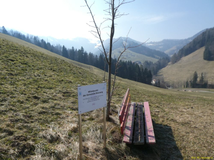 2022-03-08-SAC-RS-Schlosshoechi-52