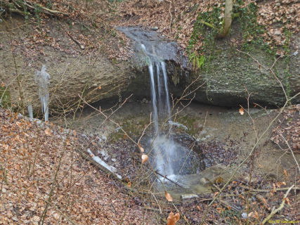 2022-01-25-SAC-RS-Sirnach-Wand-05_bearbeitet-1