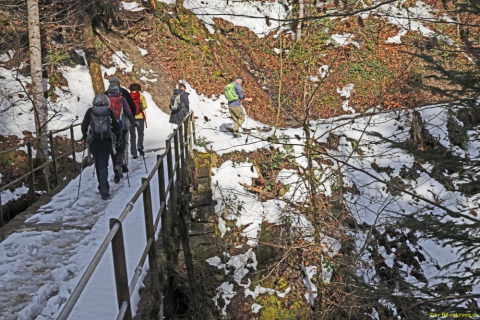 2022-04-06-SAC-RS-rund-um-Thal-IM_R5040_bearbeitet-1