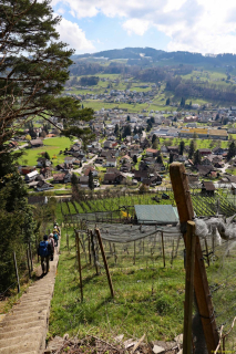 2022-04-06-SAC-RS-rund-um-Thal-IM_R5089_bearbeitet-1