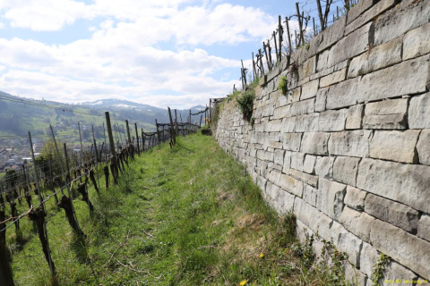 2022-04-06-SAC-RS-rund-um-Thal-IM_R5090