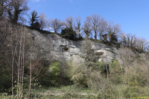 2022-04-06-SAC-RS-rund-um-Thal-IM_R5092