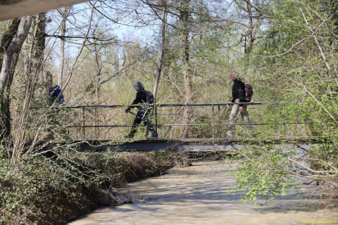 2022-04-06-SAC-RS-rund-um-Thal-IM_R5103
