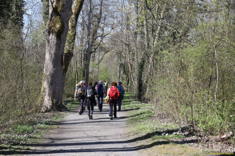 2022-04-06-SAC-RS-rund-um-Thal-IM_R5107