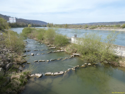 2022-04-12-SAC-RS-EtgenZurzach-044