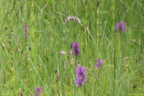2022-05-31-SAC-StossAltstaetten-08