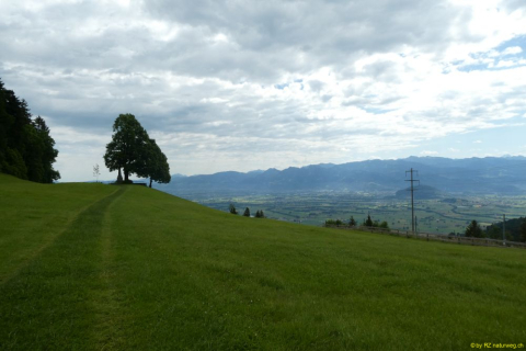 2022-05-31-SAC-StossAltstaetten-04