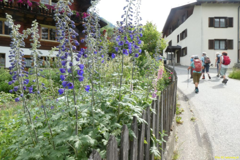 2022-06-21-SAC-Gruensee-Fuerggli-004