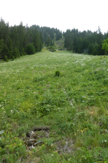 2022-06-21-SAC-Gruensee-Fuerggli-023