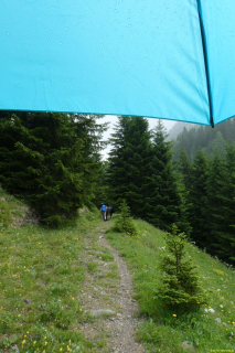 2022-06-21-SAC-Gruensee-Fuerggli-026