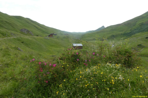 2022-06-21-SAC-Gruensee-Fuerggli-055