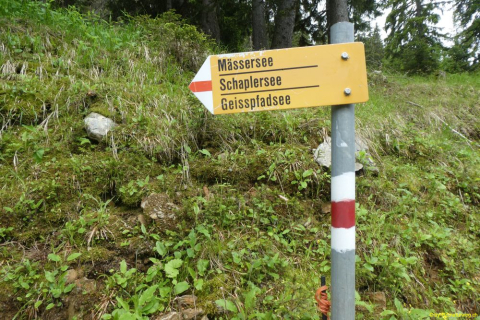 P1050291
