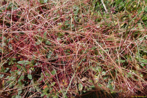 P1050697