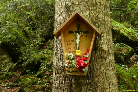 2022-07-05-SAC-Buers-Schlucht-W-31-1