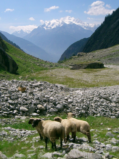 2005-08-04-Baltschiederklause-14