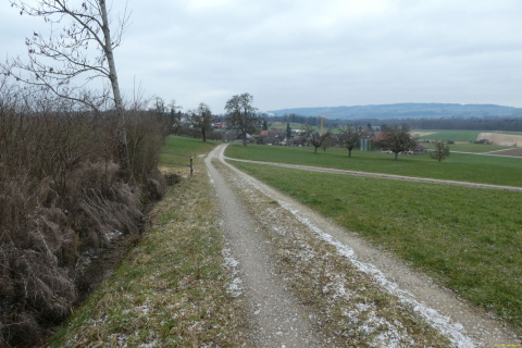 2023-02-28-SAC-RS-20-Ruinenweg-TG-030