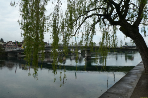 2023-05-02-SteinaRhein-HKlinge-003