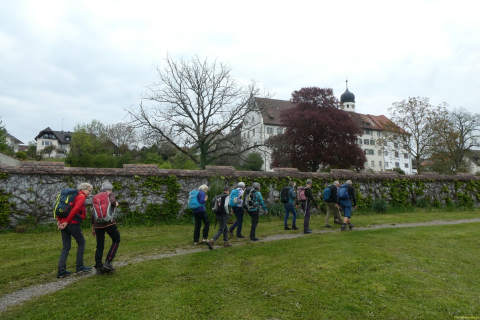 2023-05-02-SteinaRhein-HKlinge-029