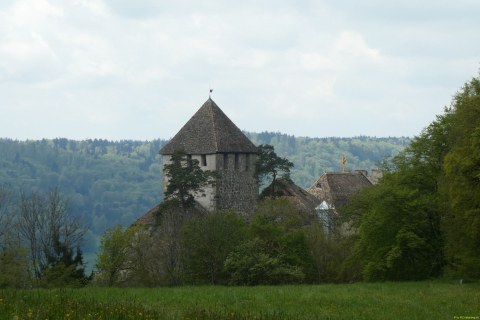 2023-05-02-SteinaRhein-HKlinge-053