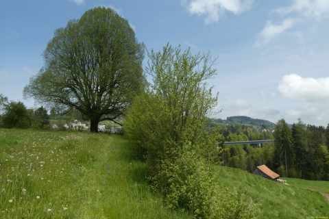 2023-05-09-SAC-RS-Zoller4Baeche-41