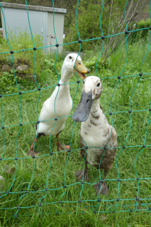 2023-05-18-OM-Maibummel-Wissba-18