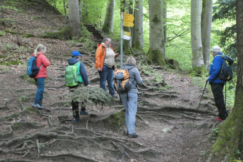 2023-05-18-OM-Maibummel-Wissba-28