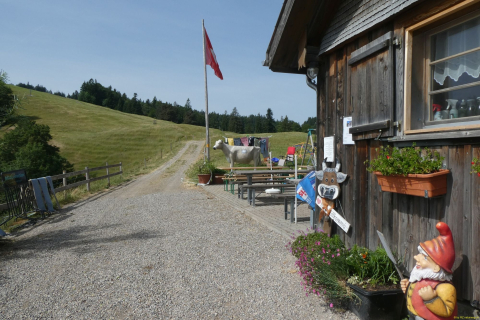 2023-06-20-SAC-RS-Libingen-T3-033