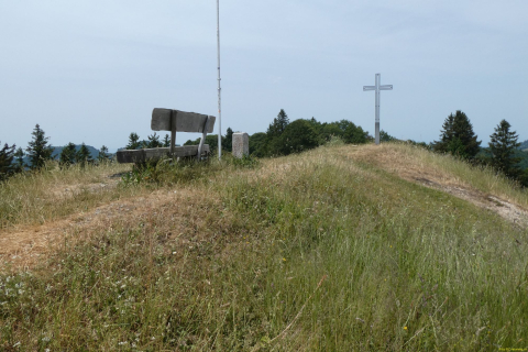 2023-06-20-SAC-RS-Libingen-T3-060