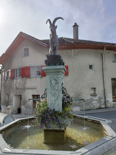 2023-10-17-SAC-RS-Crups-Fadaera-099
