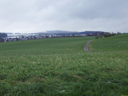 2024-04-23-SAC-RS-TobelBronsch-07_bearbeitet-1