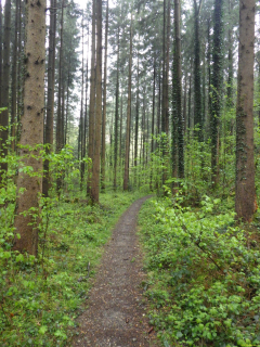 2024-04-23-SAC-RS-TobelBronsch-28