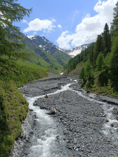 IMG20240628115652