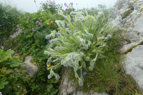 2024-07-23-SAC-RS-Selun-48-1