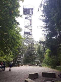 IMG-20241015-WA0011