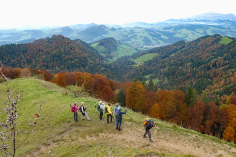 2024-10-15-SAC-RS-Tweranalpspi-067_bearbeitet-1