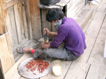 2003 11 11 Nepal Trek 5-17