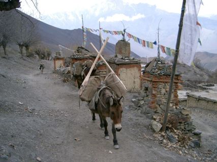 2003 11 17 Nepal Trek 11-46