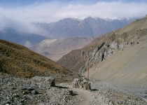 2003 11 16 Nepal Trek 10-29