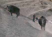 2003 11 17 Nepal Trek 11-42