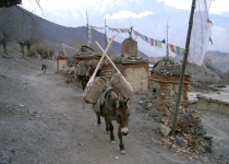 2003 11 17 Nepal Trek 11-46