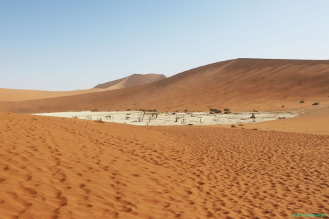 2016 11 30 Namib Naukluft NP-286-1_bearbeitet-1